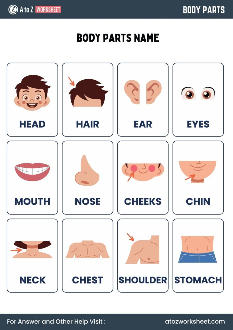 11 Free Printable Body Parts Worksheet For Kindergarten And Class 1 Kids A To Z Worksheet