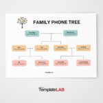 13 Free Phone Tree Templates Word PowerPoint PDF 