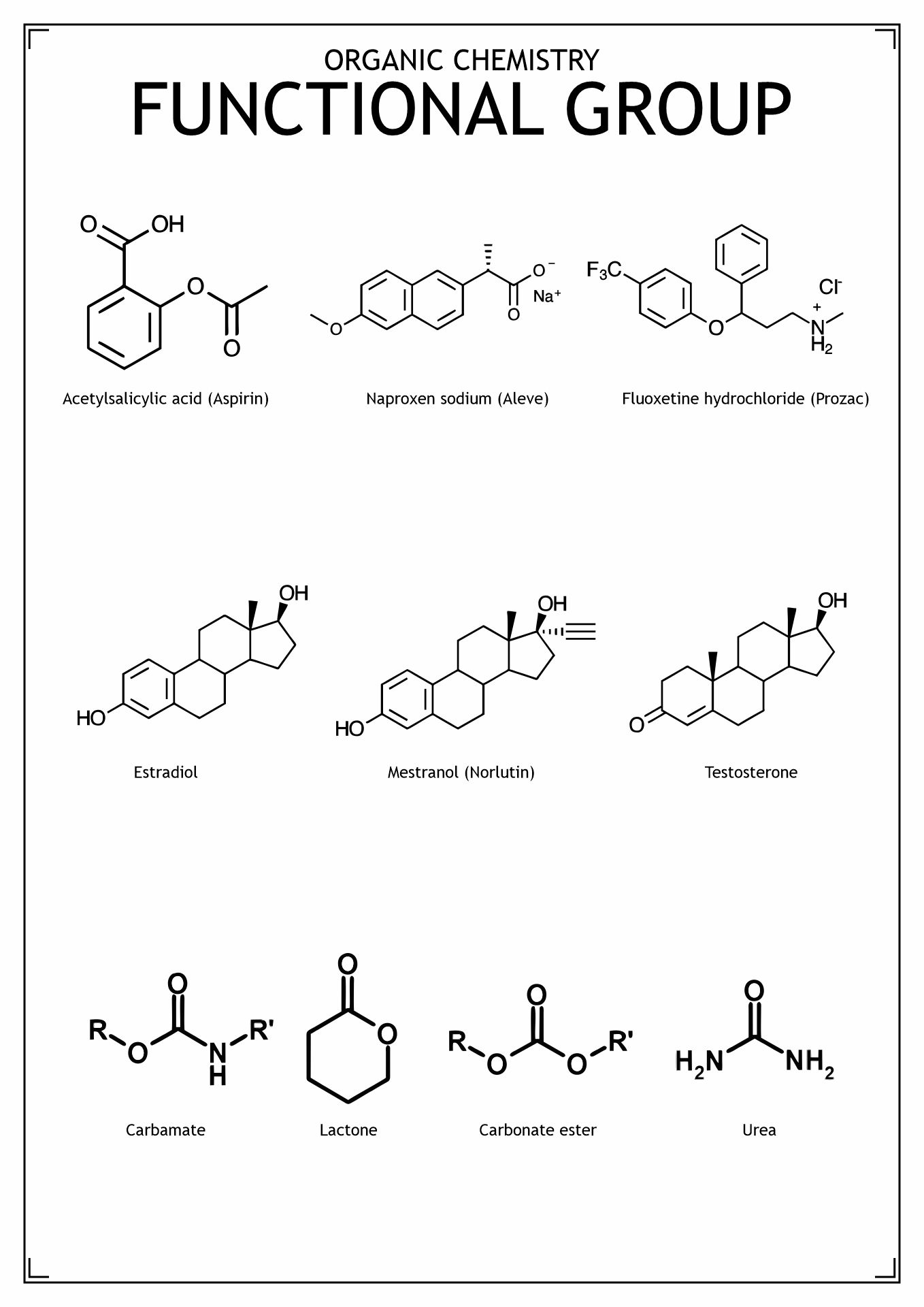 14 Functional Group Practice Worksheet Free PDF At Worksheeto