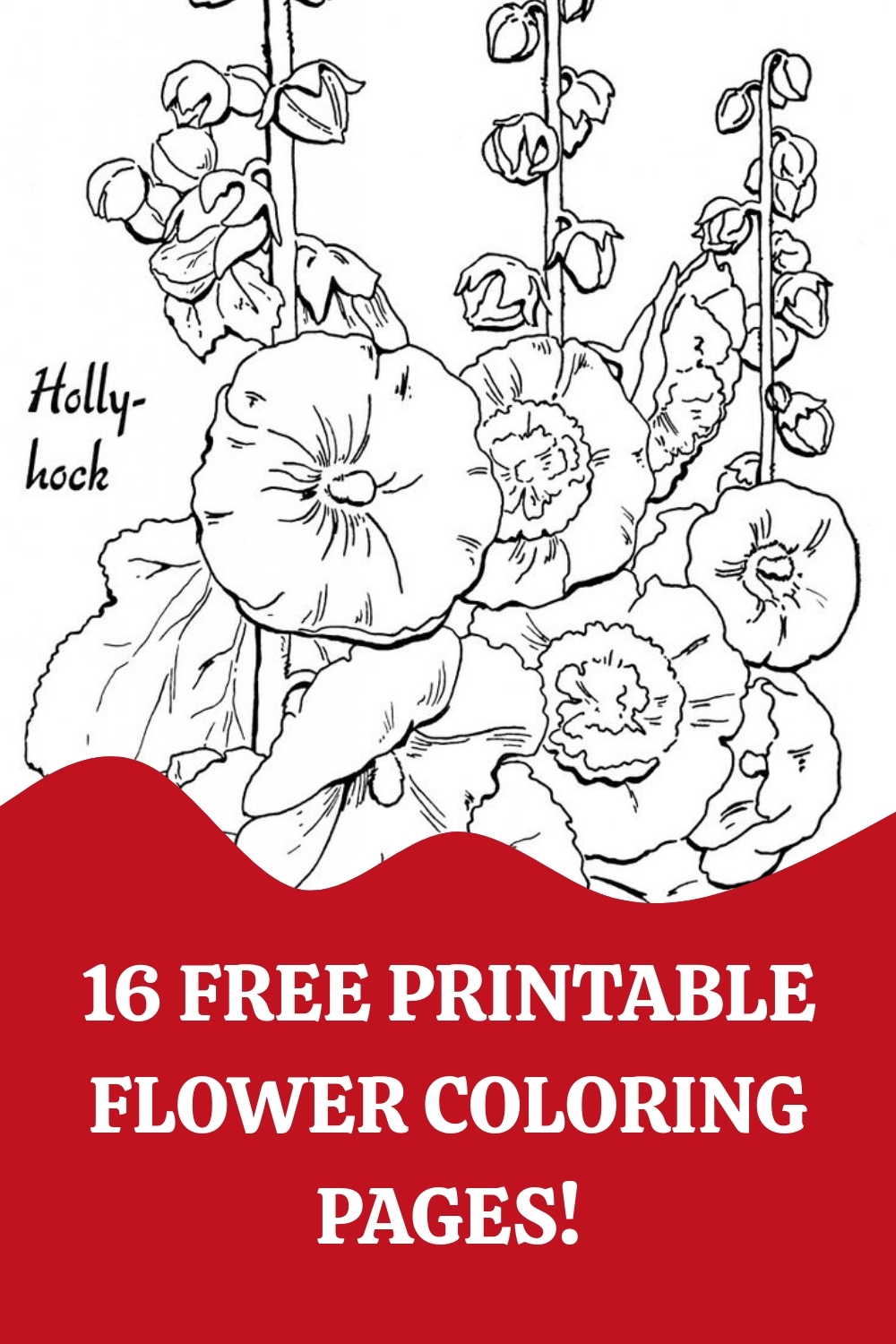 16 Flower Coloring Pages For Adults All Unique The Graphics Fairy