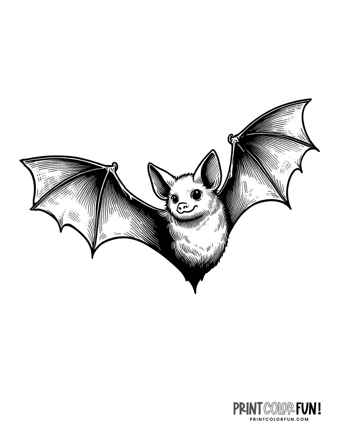 free printable coloring pages of bats