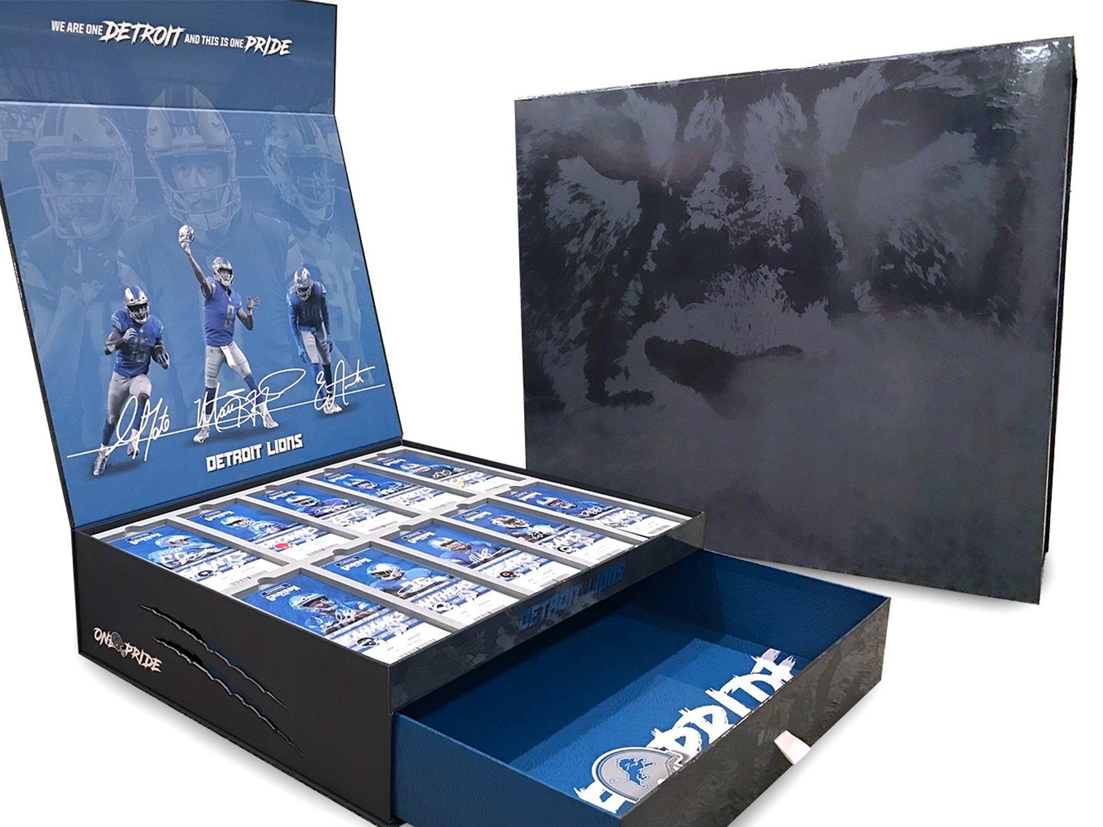 2018 Detroit Lions Season Ticket Member Packaging By R Biederman Design On Dribbble