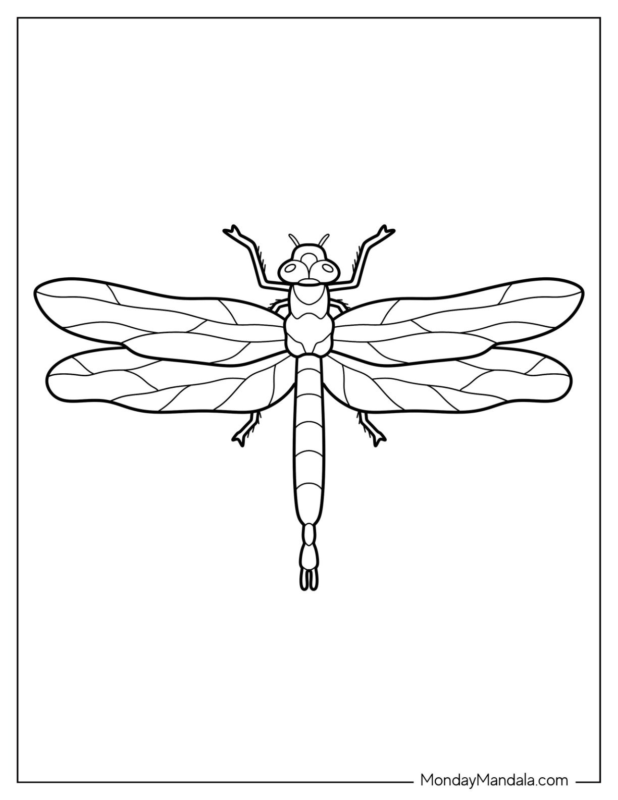 21 Dragonfly Coloring Pages Free PDF Printables 