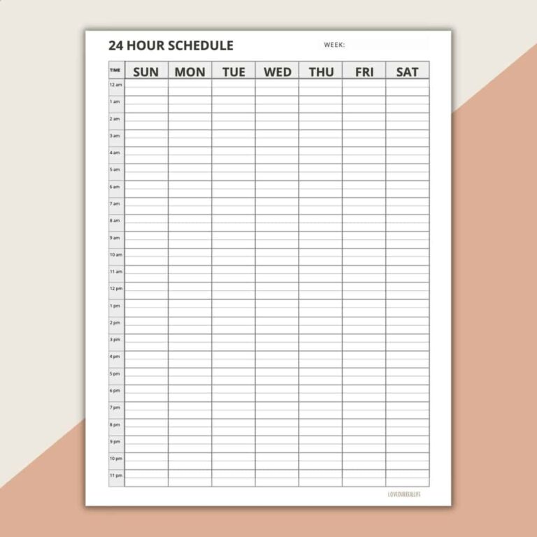 24 Hour Daily Schedule Template 1 Page Layout Printable 