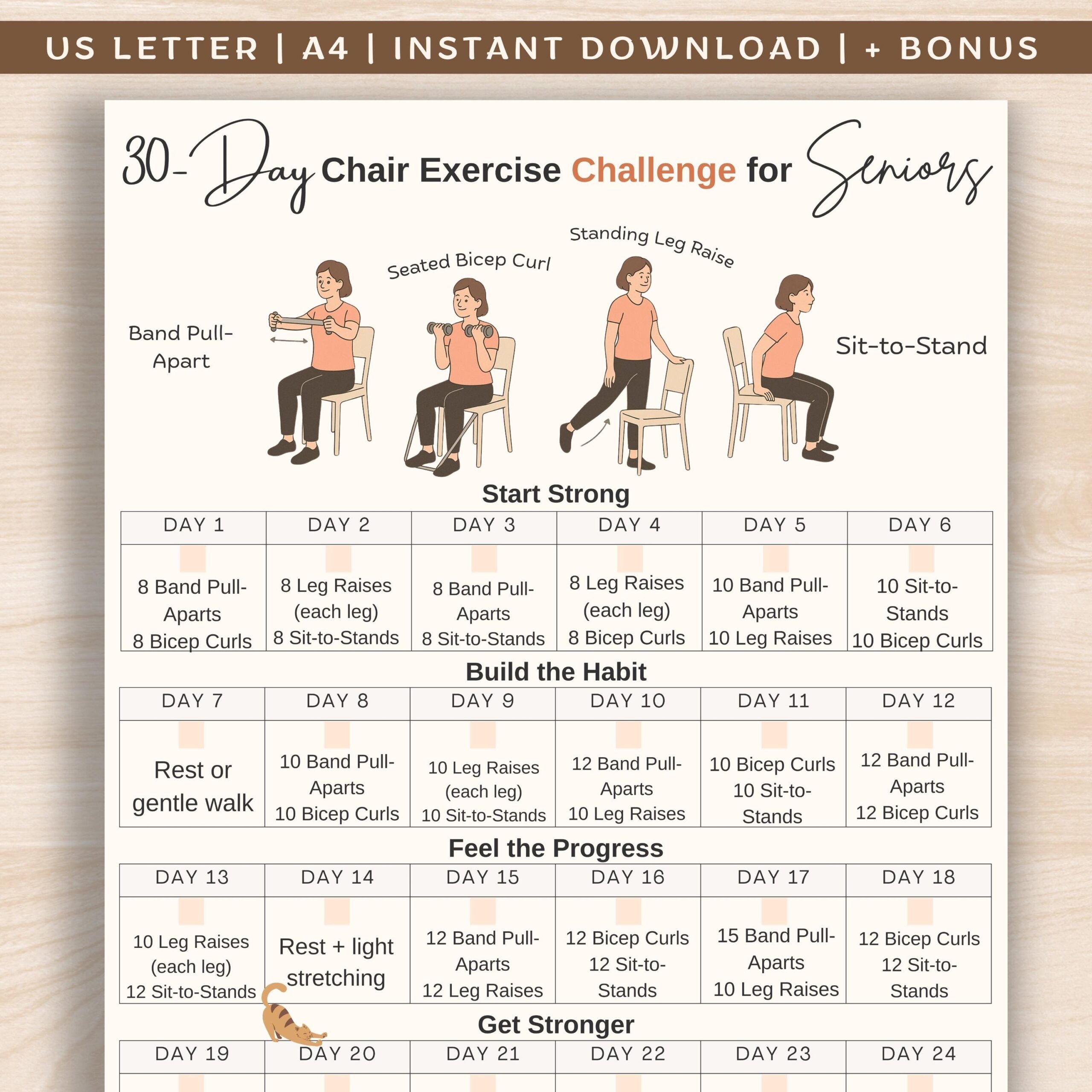30 day Chair Exercise Challenge For Seniors Chair Workout 