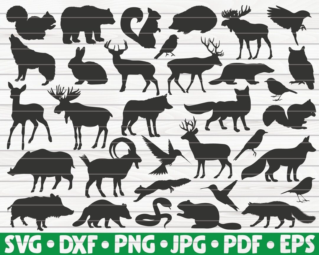 33 Forest Animals Silhouettes Free Commercial Use Cut Files For Cricut Cliparts Printable Vectors Instant Download Etsy