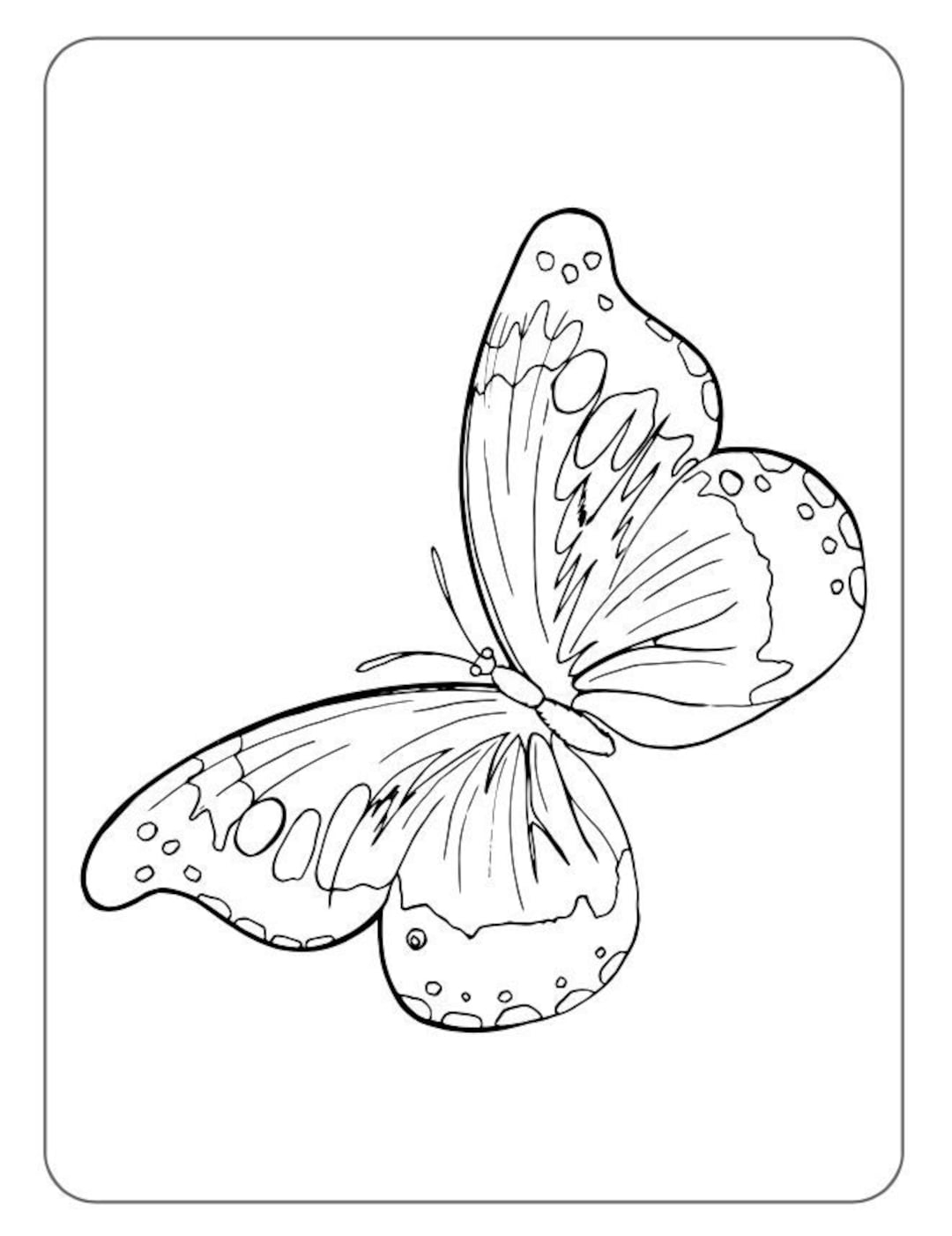 40 Butterfly Coloring Pages Printable Designs For Children digital Download Etsy