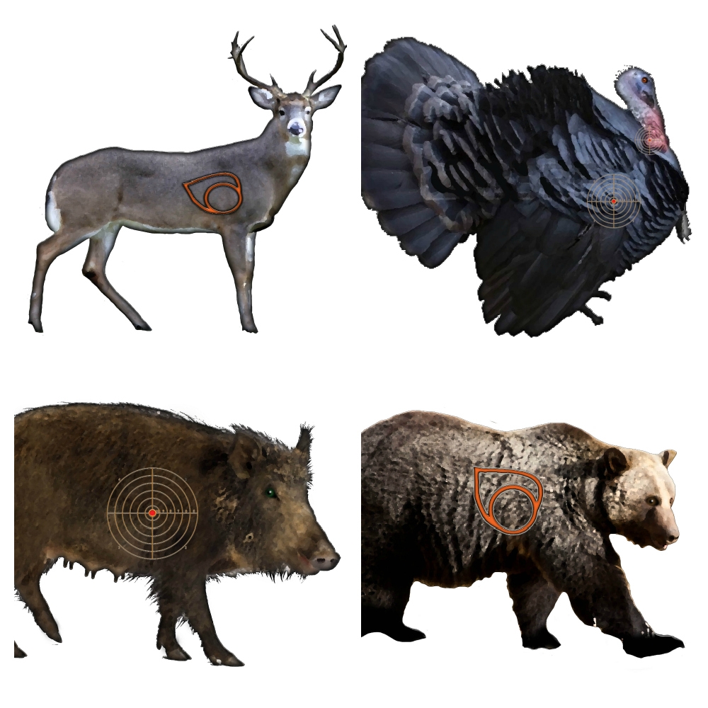 40 Pack Animal Normal And Large Size Printable Targets Bow And 