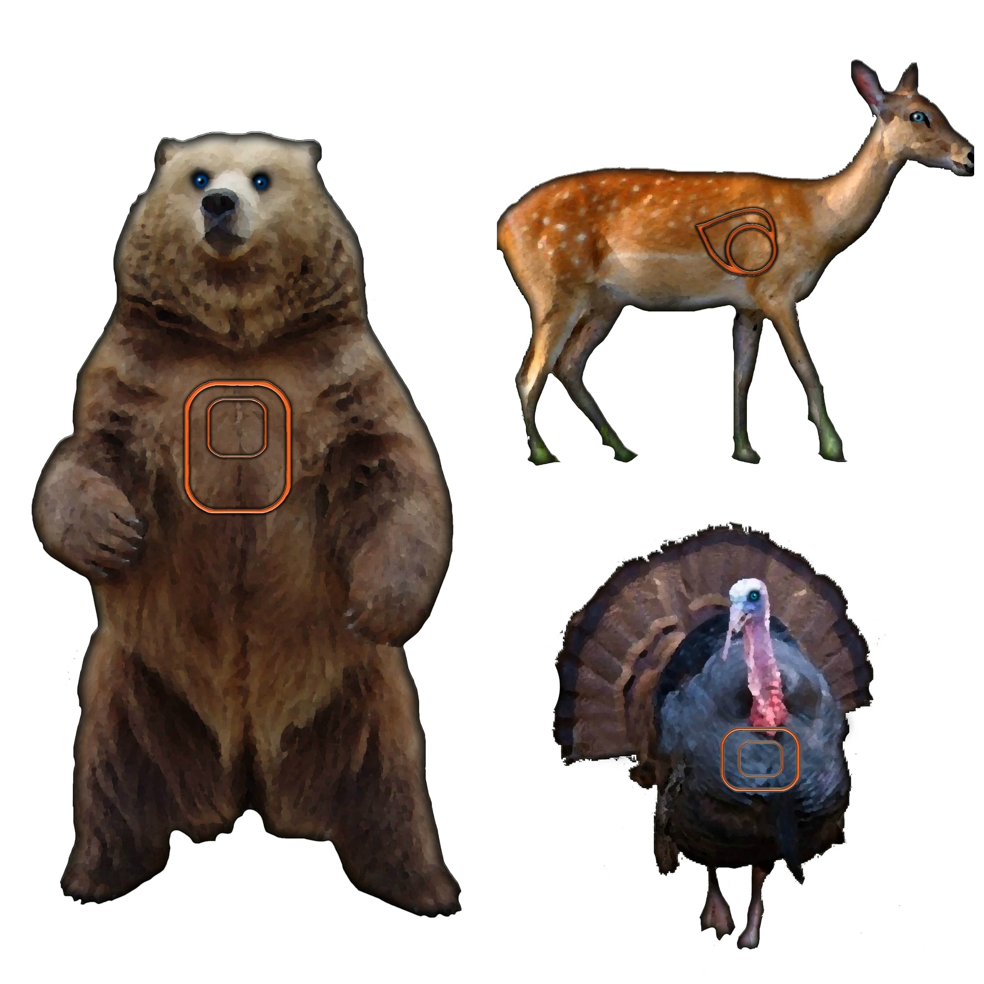 40 Pack Animal Normal And Large Size Printable Targets Bow And Arrow HQ