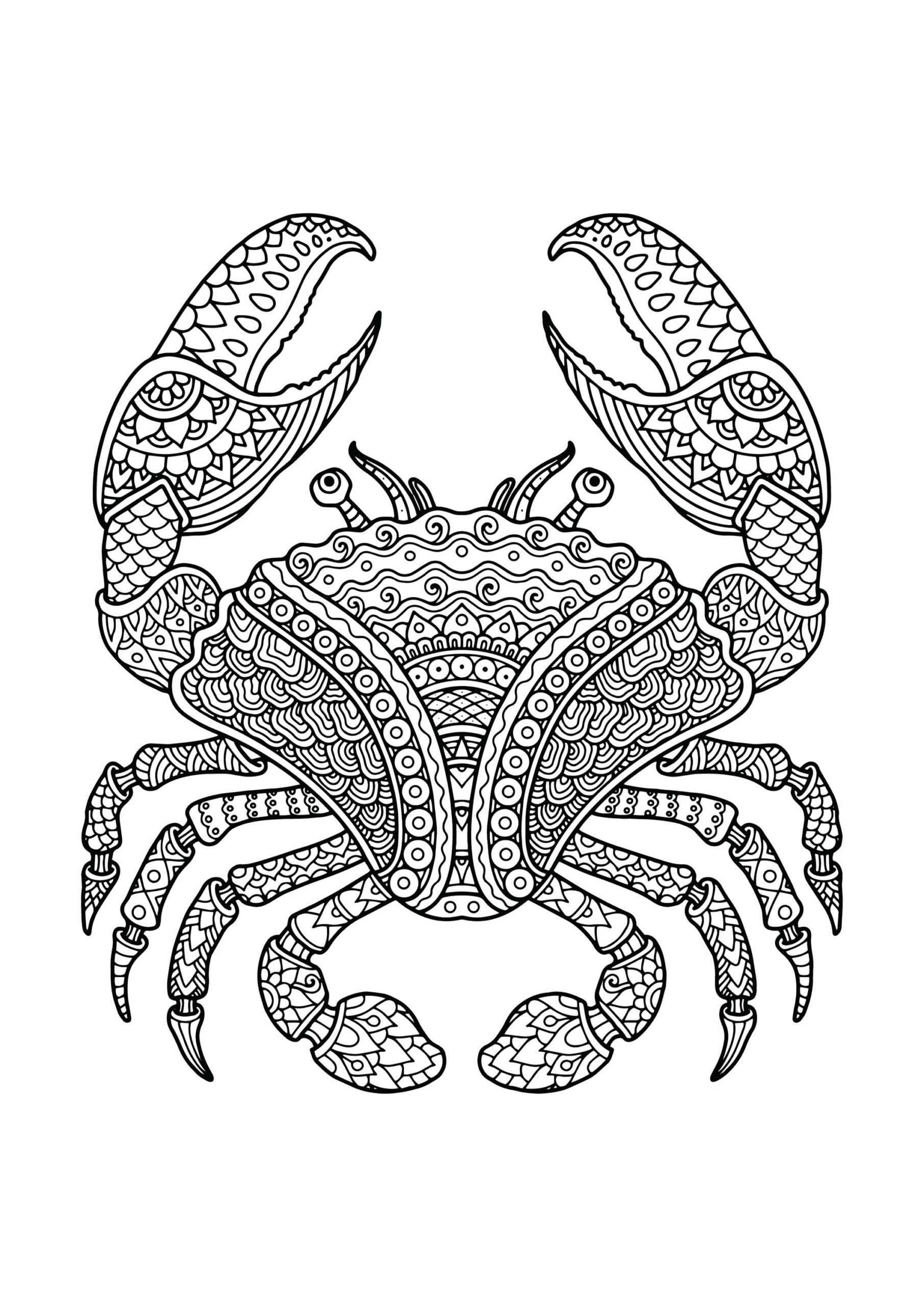 40 Printable Animal Mandala Coloring Pages Ocean Animal Mandala 