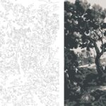 A Free Downloadable Coloring Page Paint By Numbers Of My Tree 