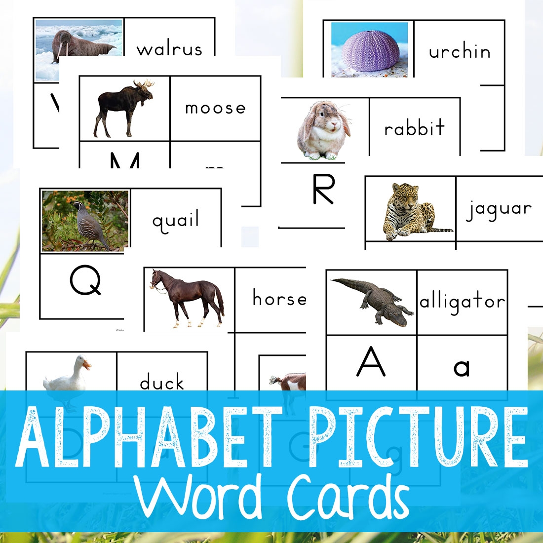 printable alphabet word picture cards