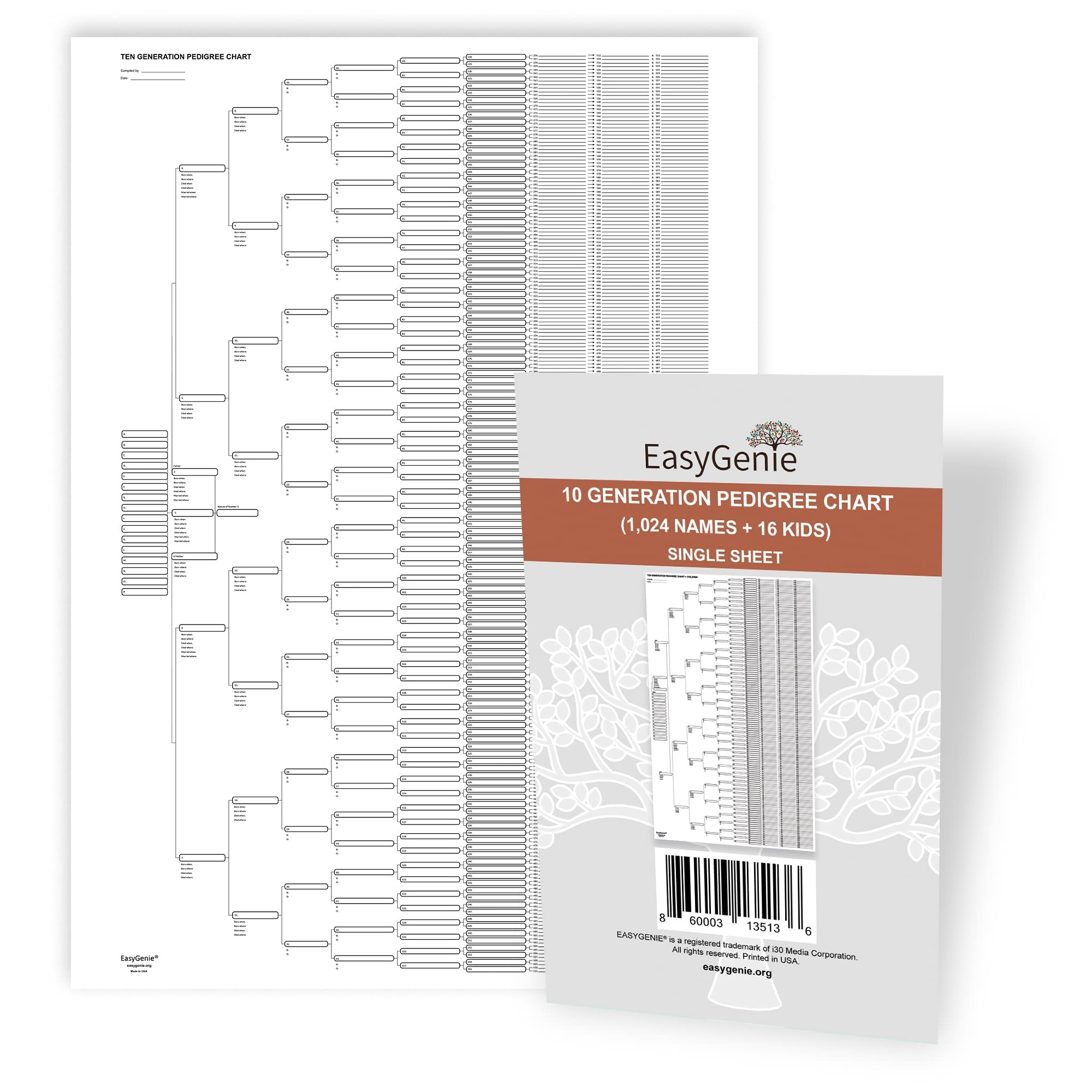 Amazon 10 Generation Blank Pedigree Charts Plus Kids Single 