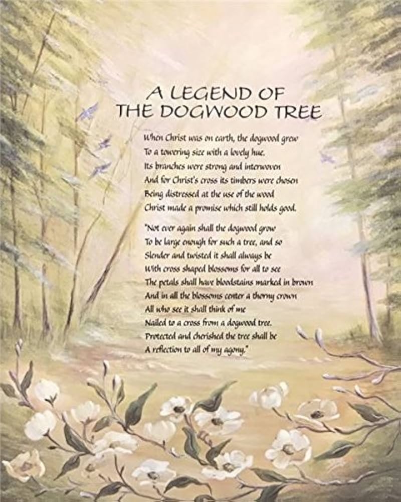 Amazon A Legend Of The Dogwood Tree I 6 810 E 8x10 20 8 X 10 8 