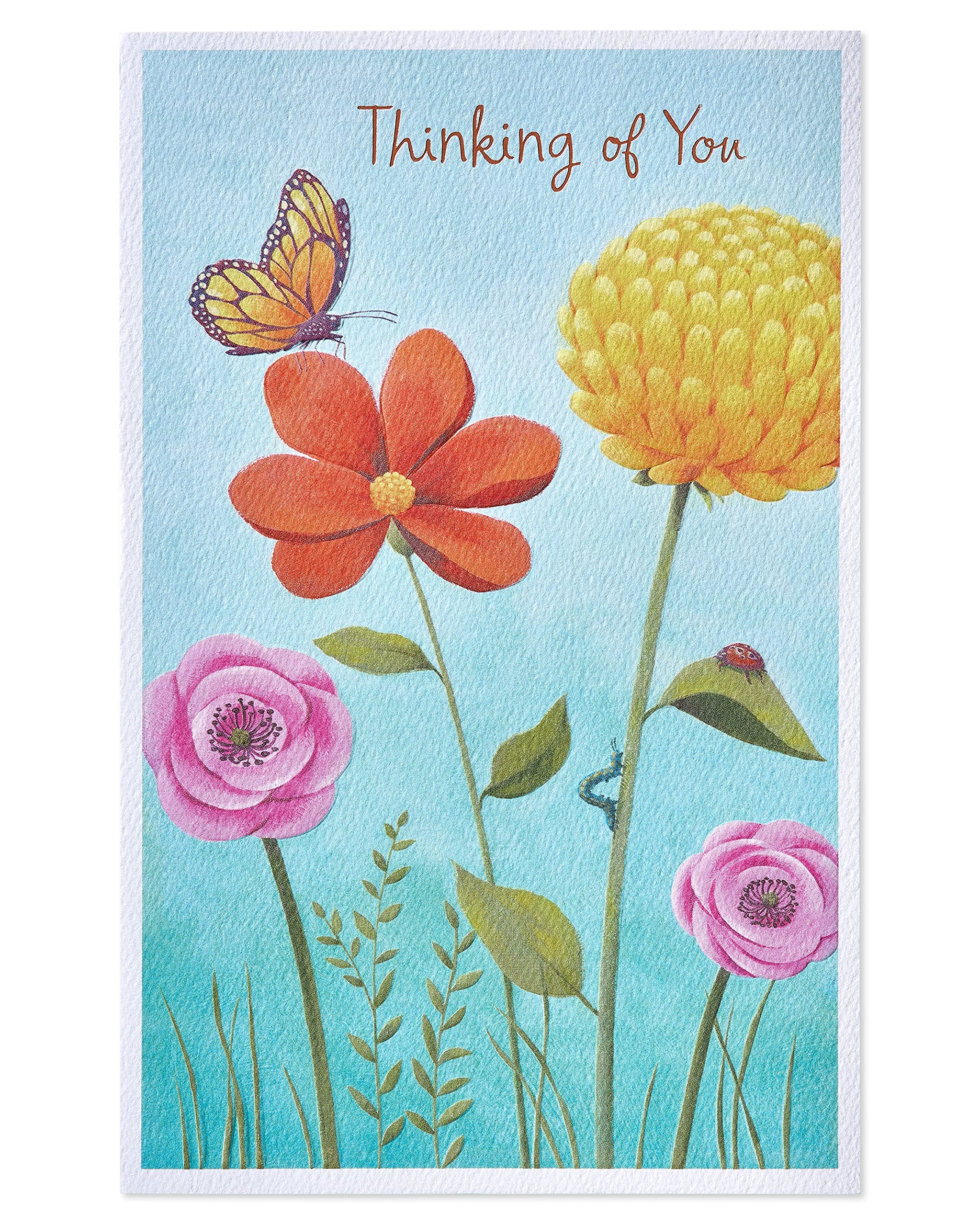 Amazon American Greetings Thinking Of You Card Brighten Up 
