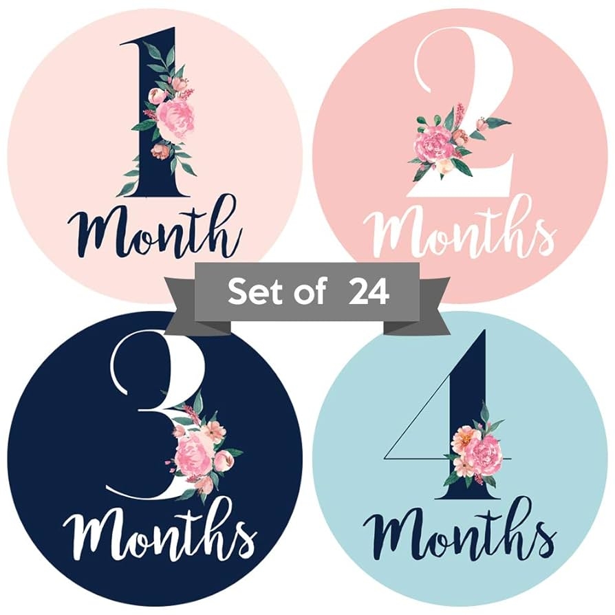 Amazon Baby Monthly Stickers Set Of 24 Floral Baby Girl 