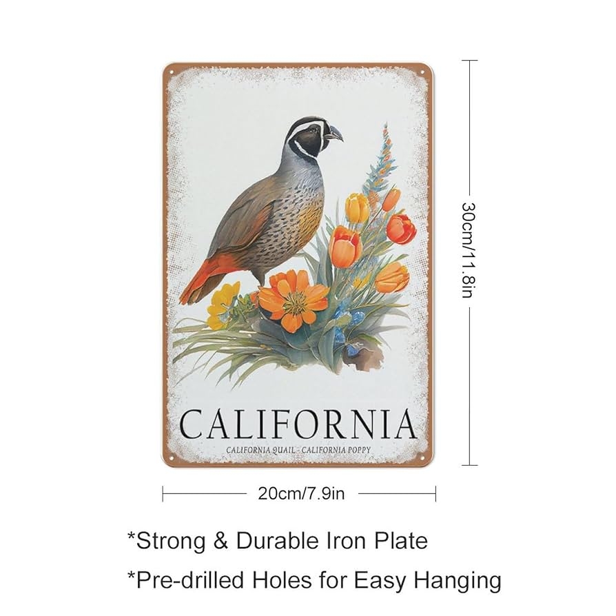 Amazon California State Bird Art Print California State Amazon California State Bird Art Print California State