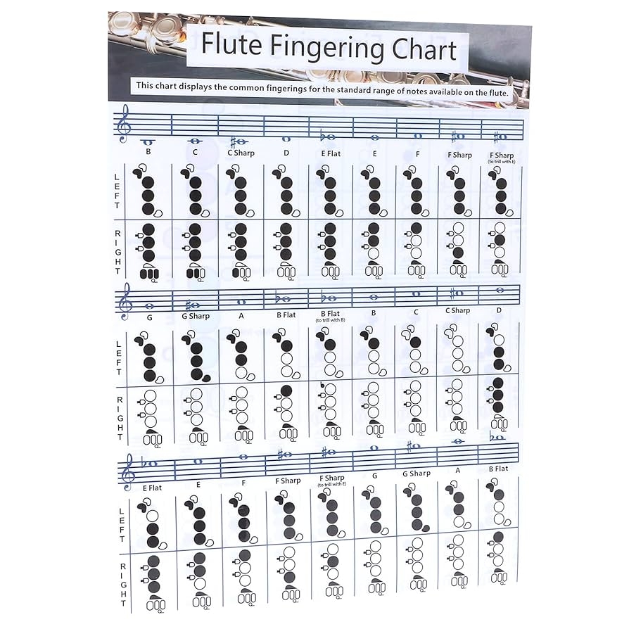 Amazon Flute Fingering Chart Full Size Large Print Beginner Friendly Includes Notes Scales And Basic Fingering For Teacher Band Small 28x21cm Musical Instruments