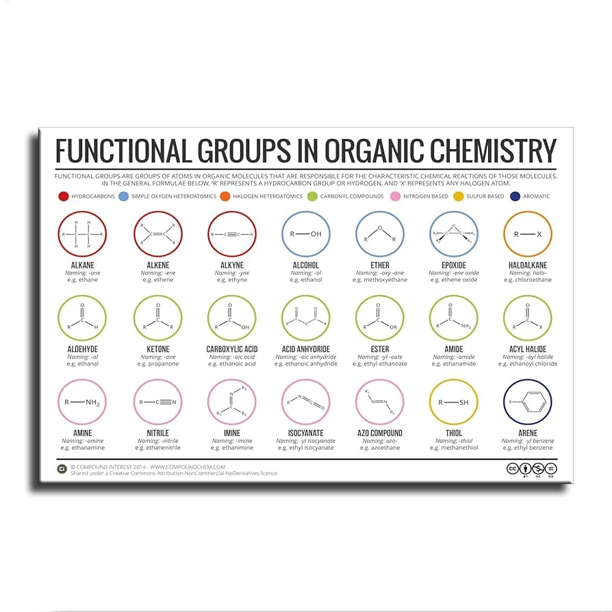 Amazon Functional Groups In Organic Chemistry Equastions 