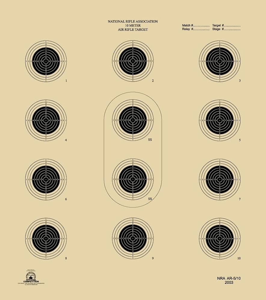 Amazon Official NRA Shooting Targets AR 5 10 Air Rifle 10 