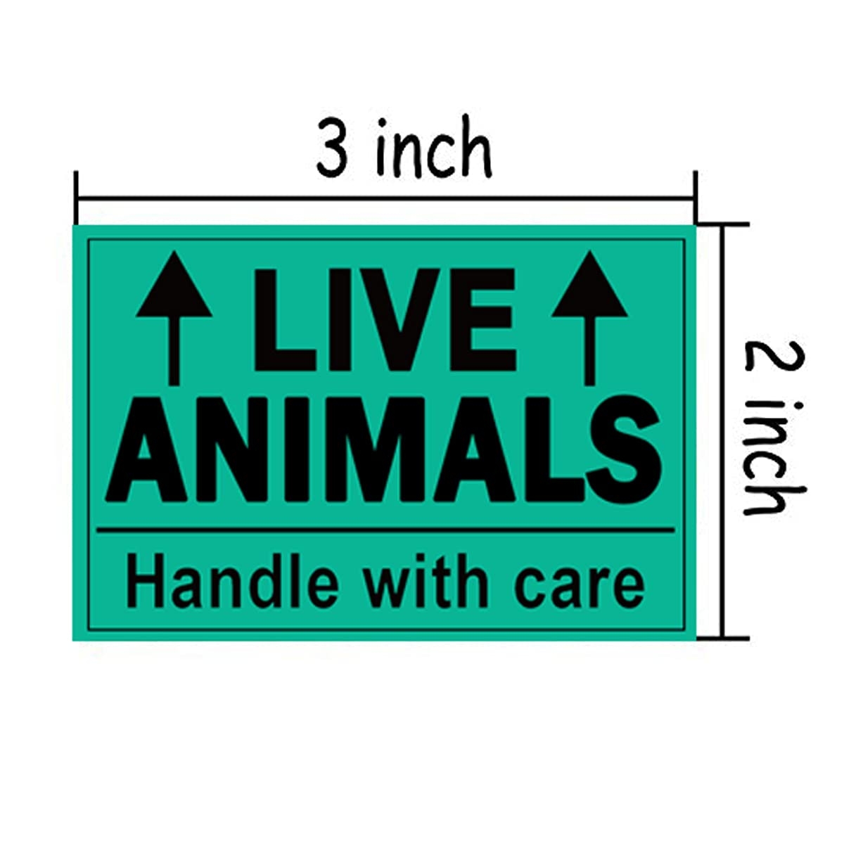Amazon Remarkable Live Animals Please Handle With Care 