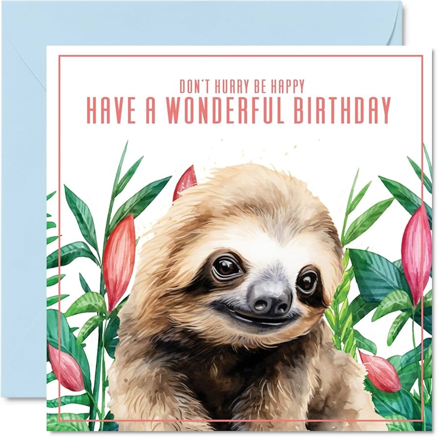 Amazon Sloth Birthday Cards For Men U0026 Women Don t Hurry Be Happy Animal 5 7 X 5 7 Inch Greeting Cards Birthday Card For Mum Dad Sister Brother Daughter Uncle Auntie Amazon Sloth Birthday Cards For Men U0026 Women Don t Hurry Be Happy Animal 5 7 X 5 7 Inch Greeting Cards Birthday Card For Mum Dad Sister Brother Daughter Uncle Auntie