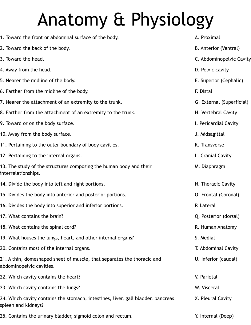 anatomy and physiology printable worksheets