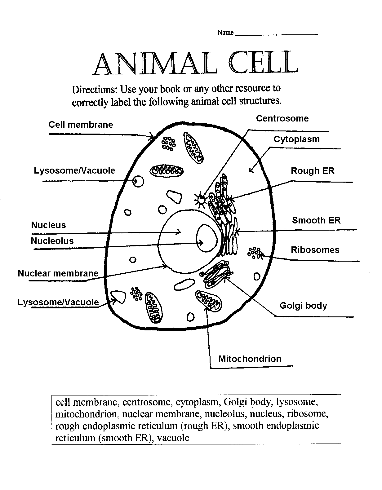diagram of a cell with labels printable downloadable
