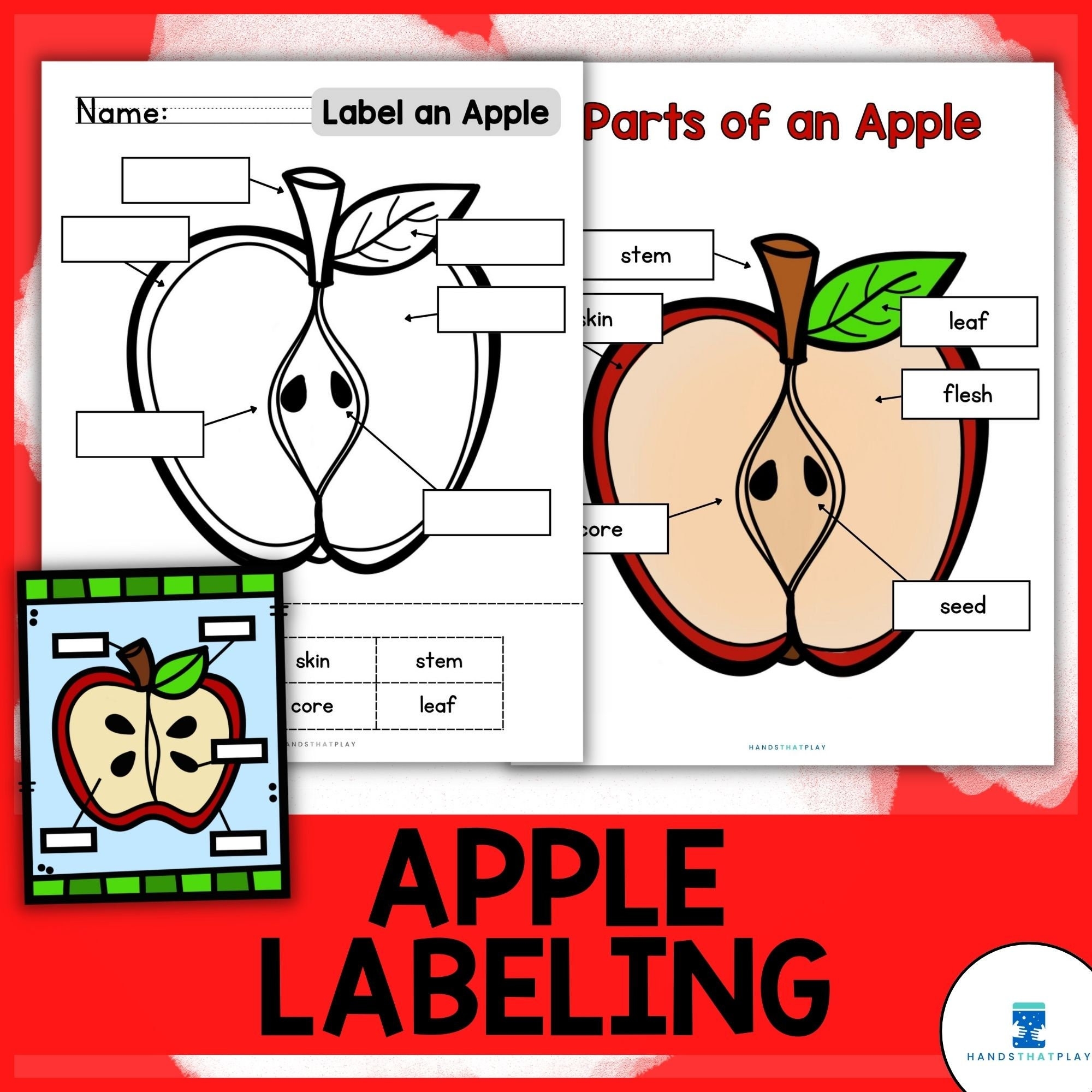 Apple Science Label Parts Of An Apple Diagram apple Core Or Apple Half Etsy