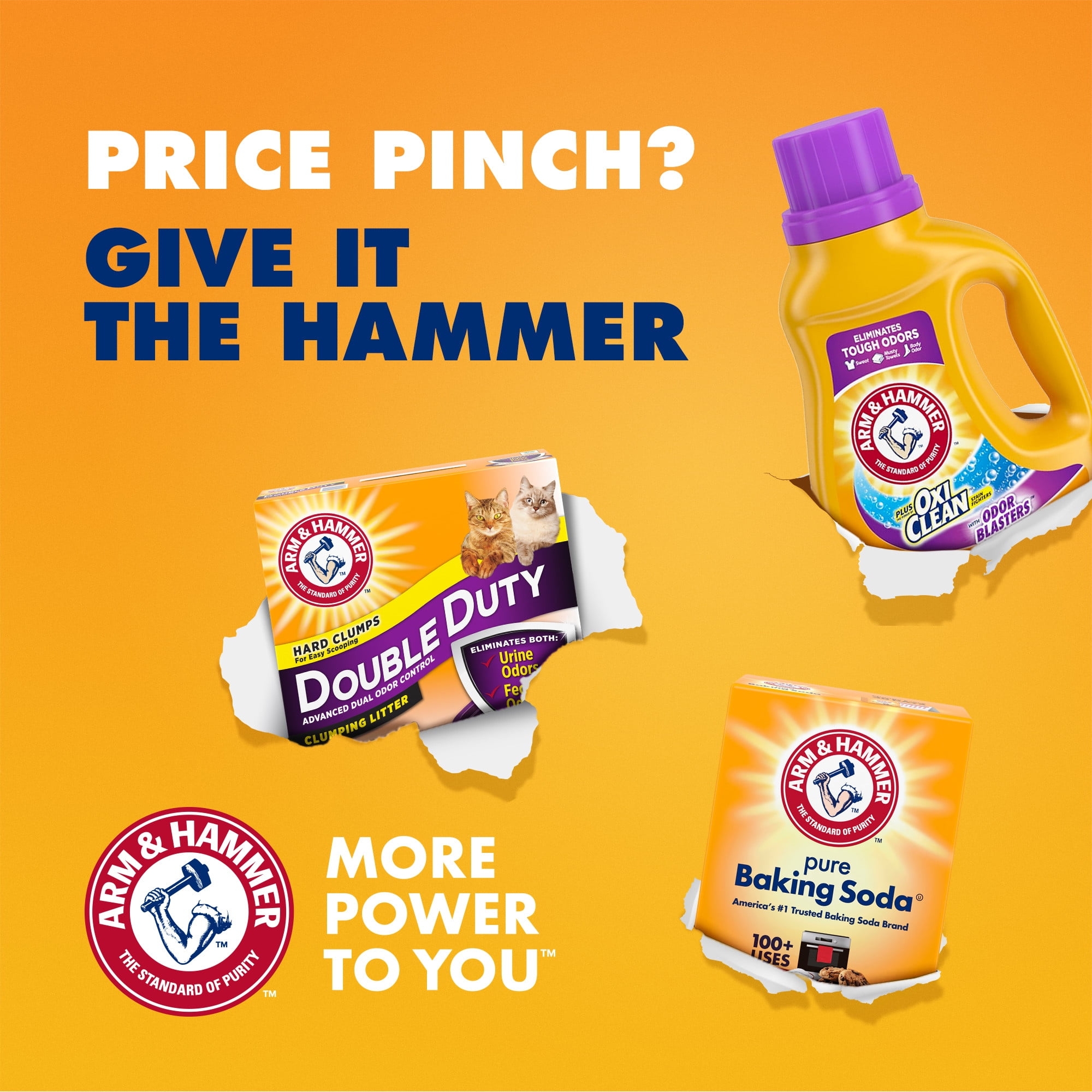 Arm And Hammer Products Best Sale