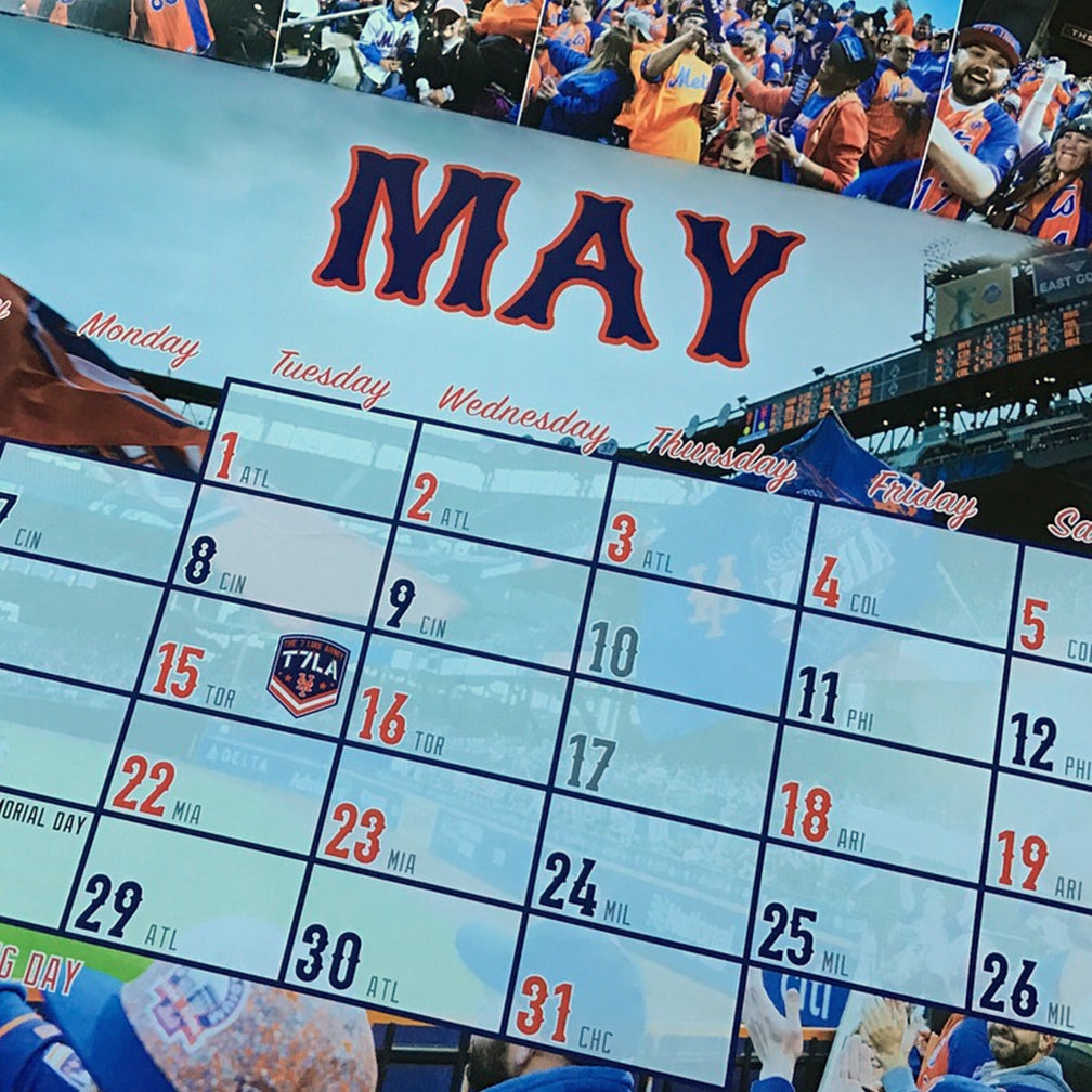 Astros Printable Schedule Houston Astros Worksheets Library
