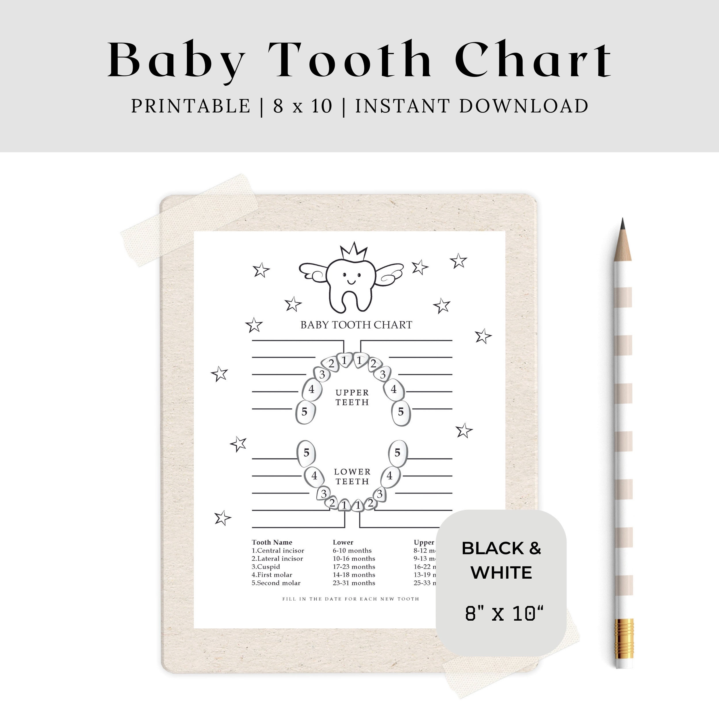 printable baby tooth chart printable baby tooth chart