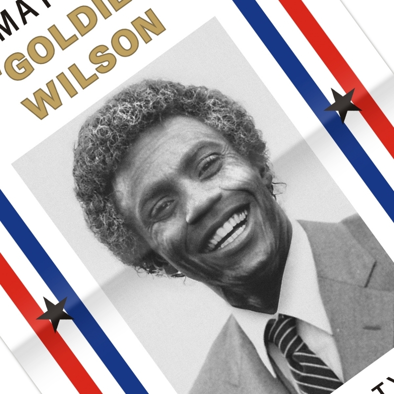Back To The Future Poster For The Re election Of Mayor Goldie Wilson