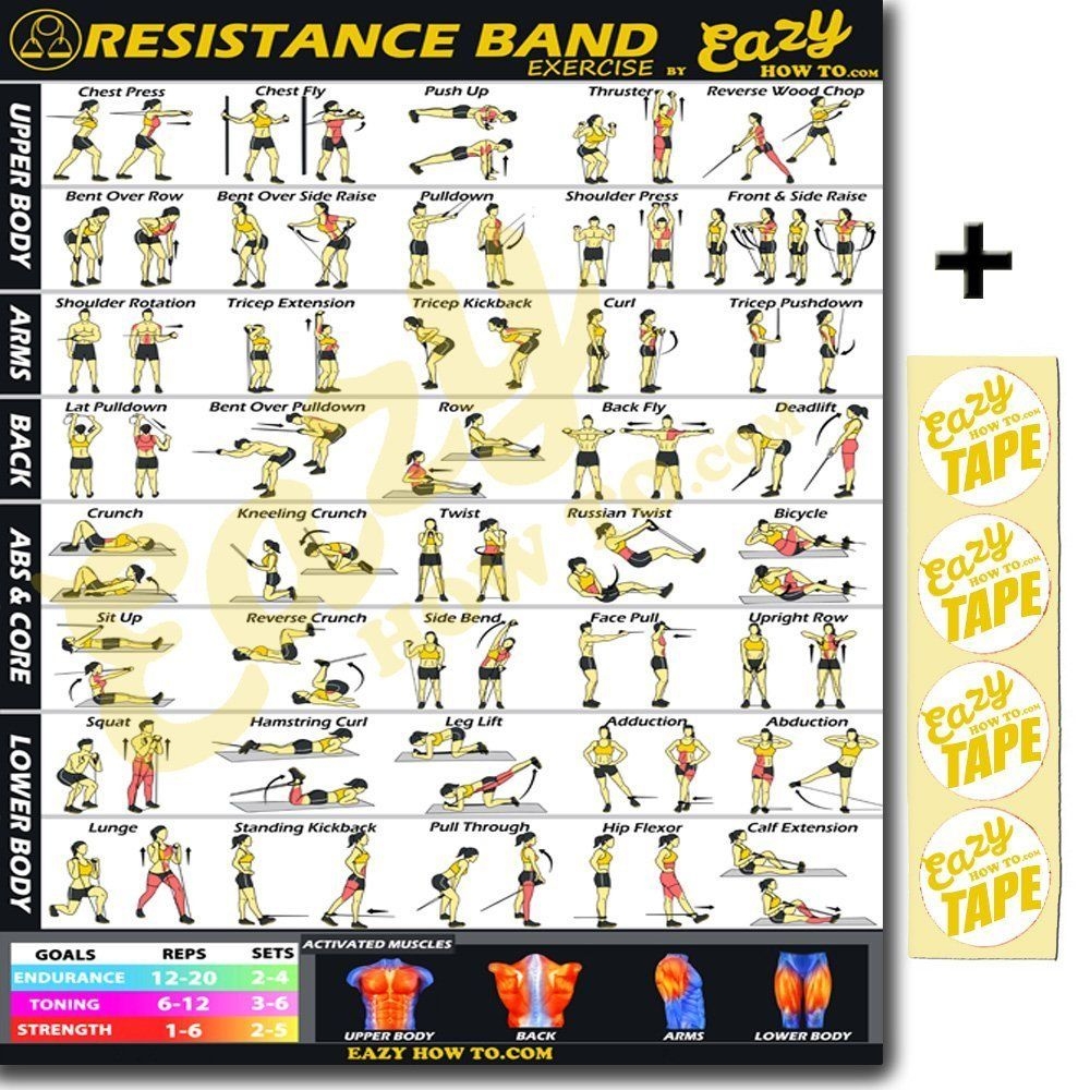 Big Arms Resistance Bands 2025 Www asajamalaga
