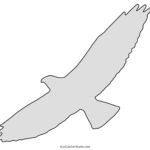 Bird Patterns Print And Download Templates SVG JPG Free 