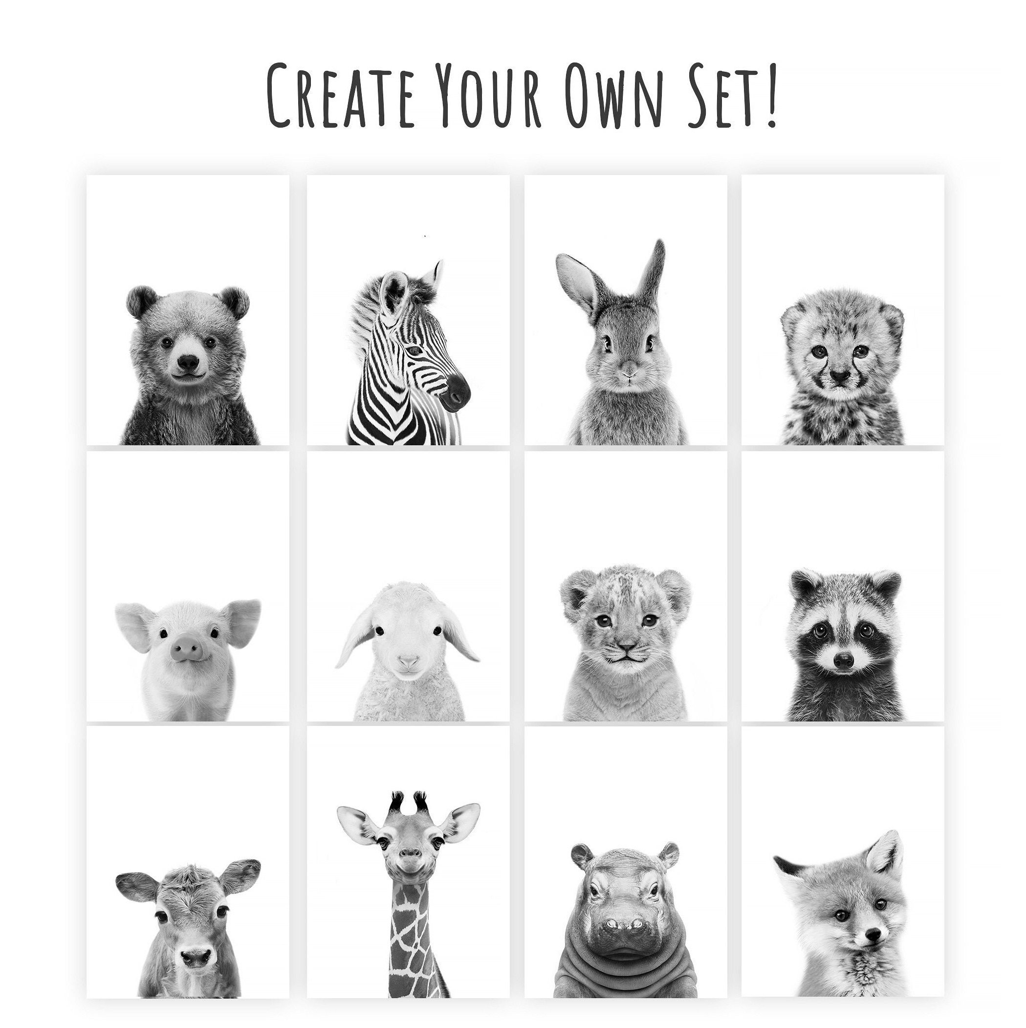 Black And White Nursery Animal Prints PRINTABLE Safari Nursery Prints Woodland Nursery Art Bu0026W Baby Animals Wall Art Decor DIGITAL DOWNLOAD Etsy