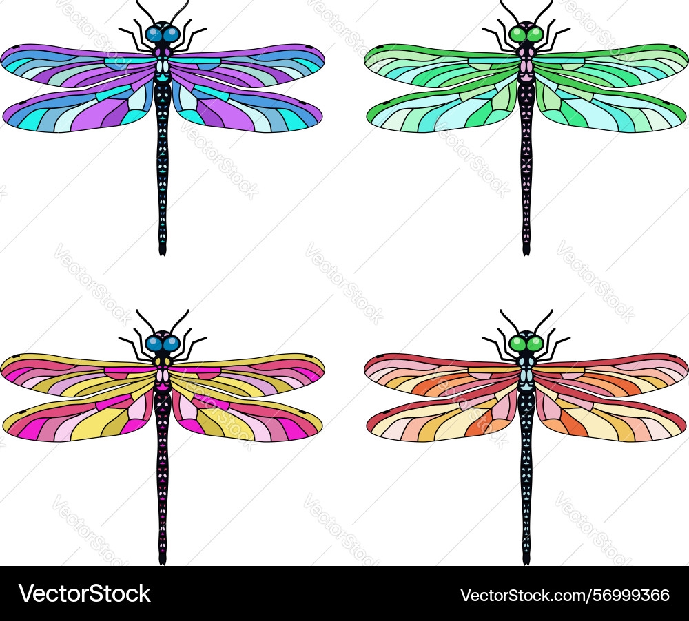printable colored pictures of dragonflies