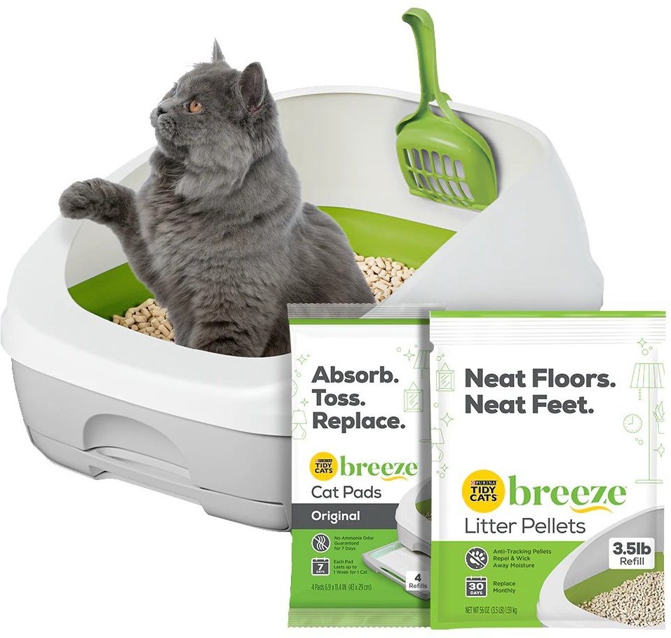 printable cat litter coupons printable cat litter coupons