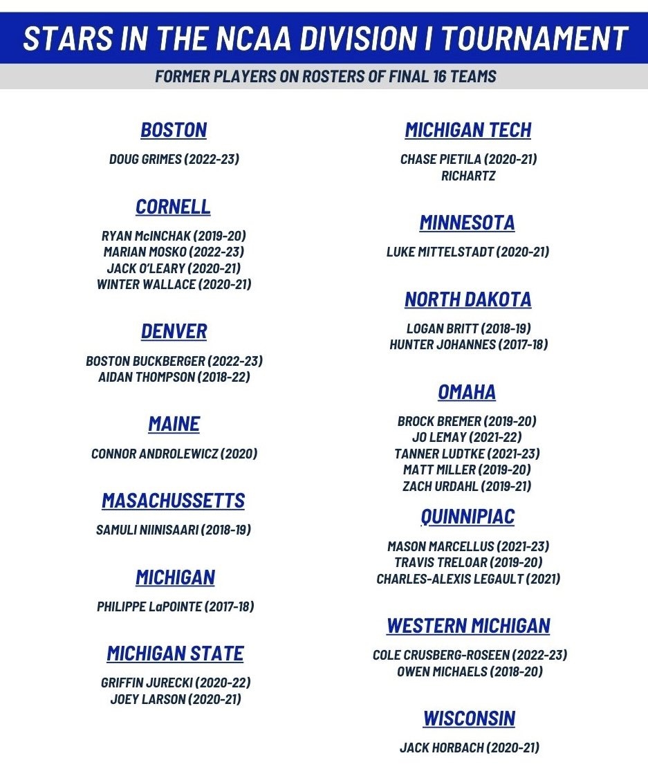 printable uk basketball schedule 2018 19