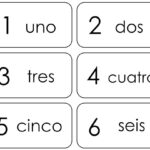 Buy 20 Printable Spanish Numbers 1 20 Flashcards Preschool Thru Third Grade Foreign Language Online In India Etsy