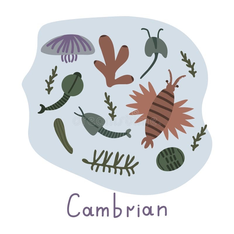 Cambrian Era Stock Illustrations 249 Cambrian Era Stock Illustrations Vectors U0026 Clipart Dreamstime