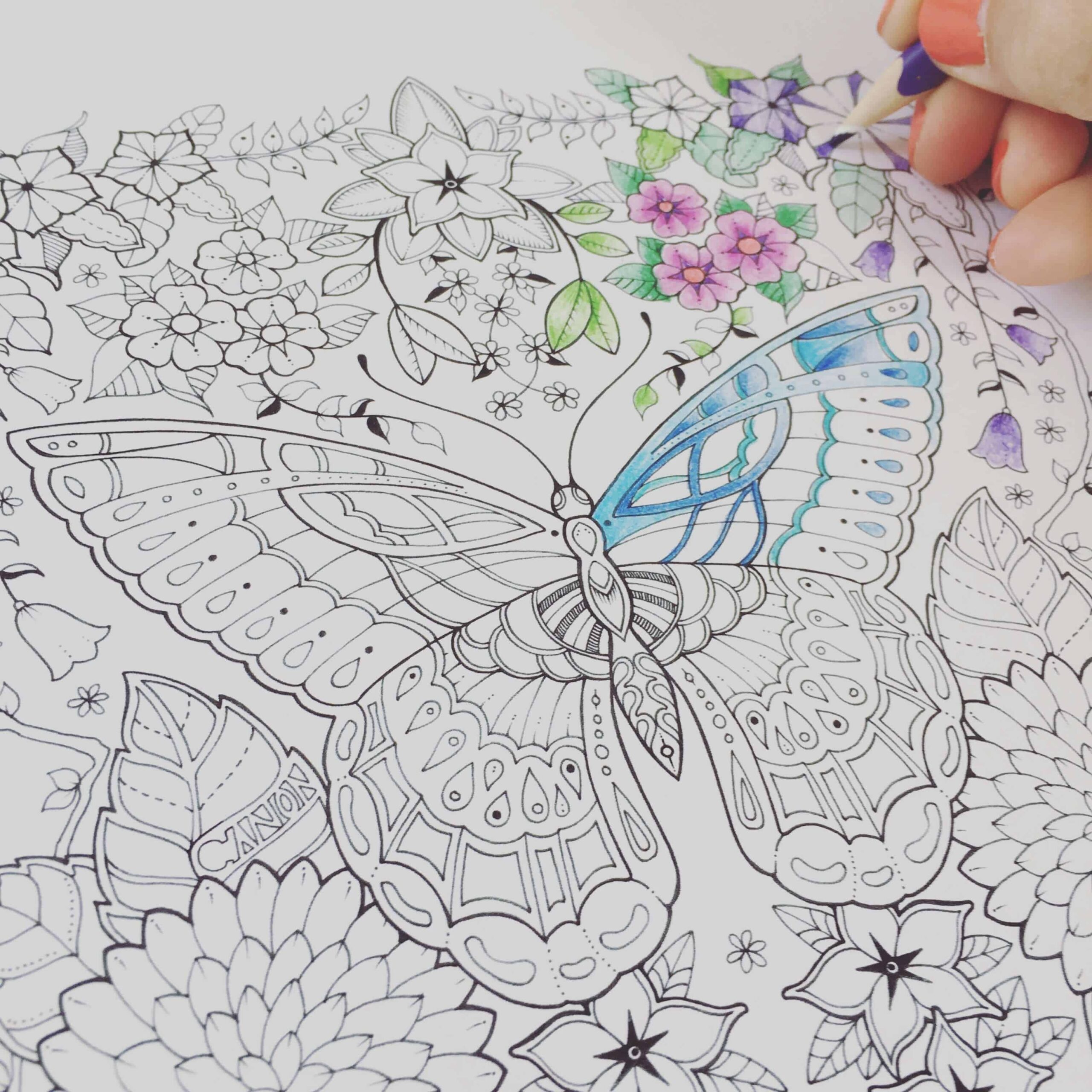 Canon Summer Download Johanna Basford Illustrator U0026 Colouring 