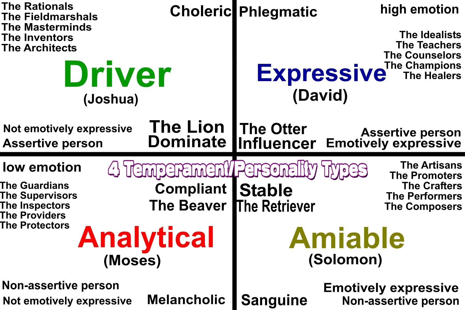 driver amiable analytical expressive test printable