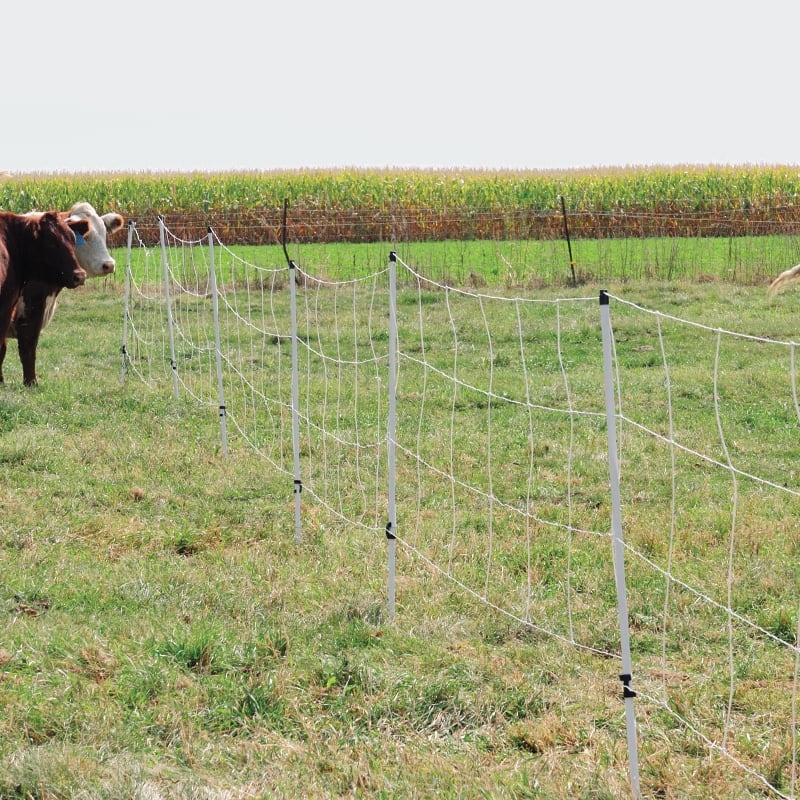 Cattle QuikFence 4 48 24 Premier1Supplies