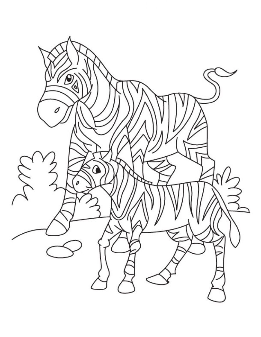 Coloring Pages Zebra Coloring Sheet