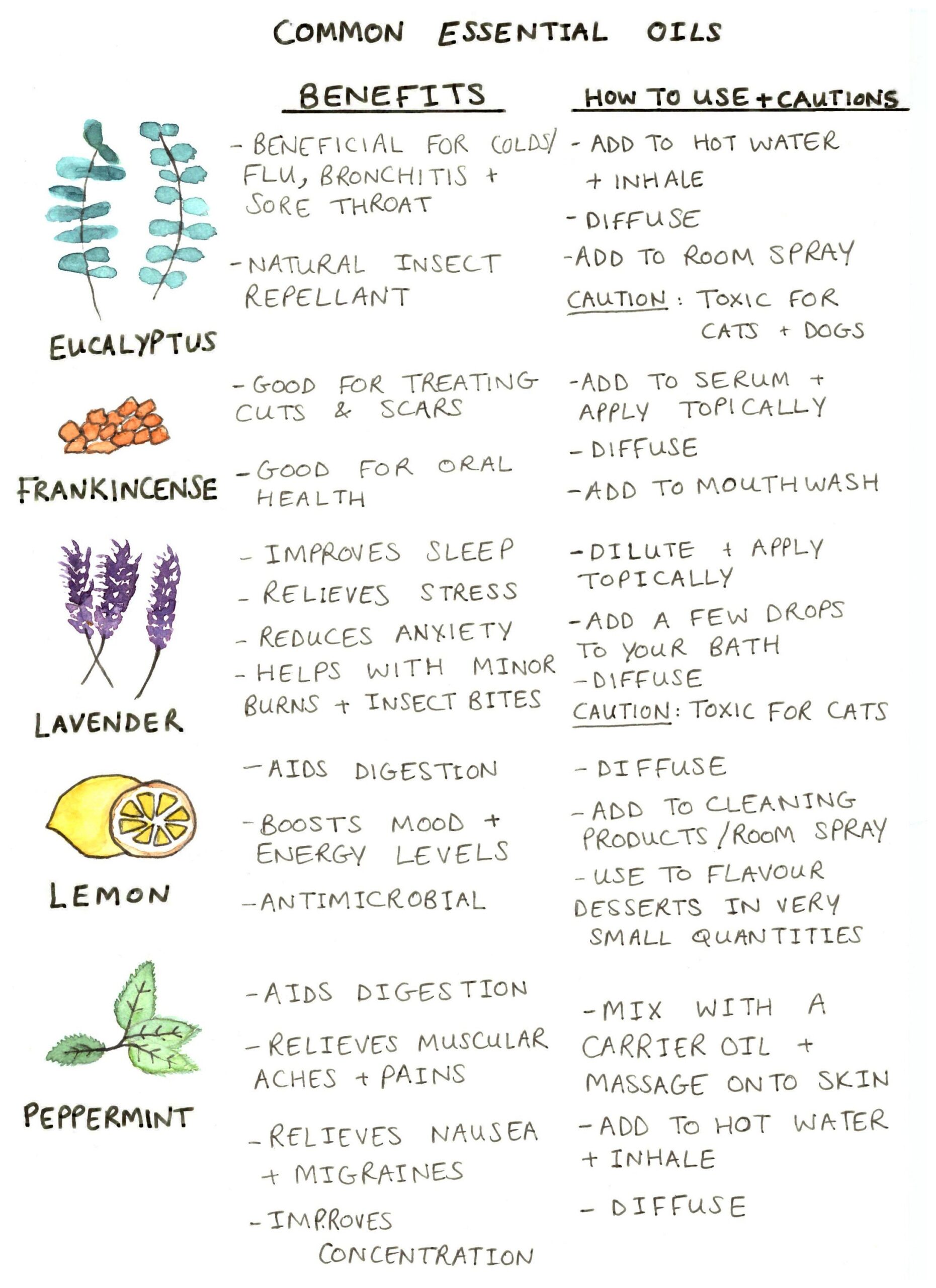 Common Essential Oils Print benefits U0026 Uses A4 Etsy Australia