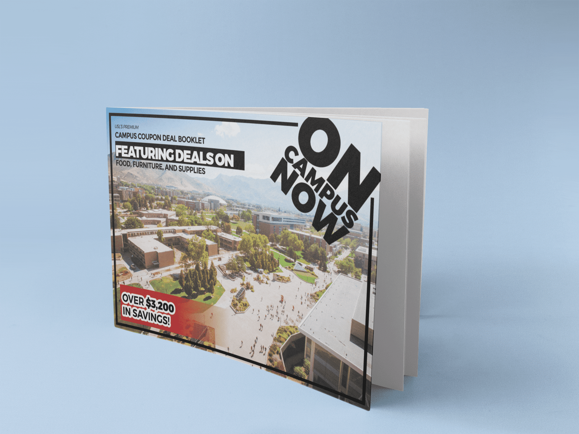 Custom Coupon Book Printing Free Shipping To The Mainland US