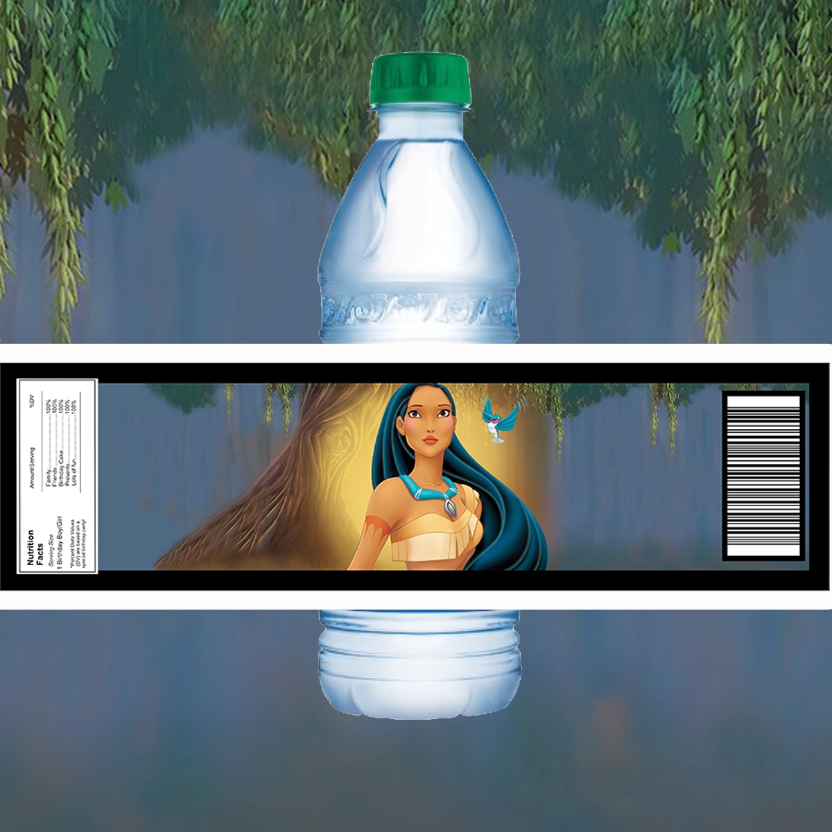 free printable birthday invitations pocahontas
