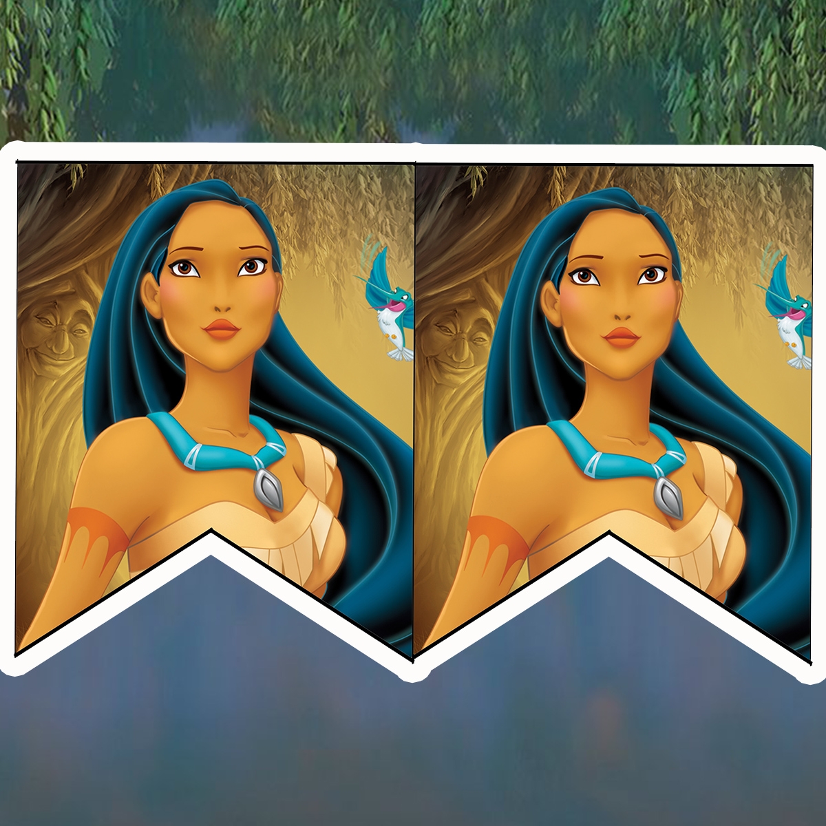 Daisy Celebrates Pocahontas Birthday Party Printable Files