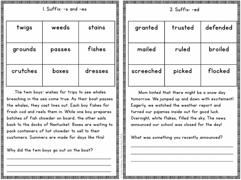 Decodable Passages For Prefixes And Suffixes FREEBIE The 